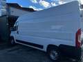 Citroen Jumper 2.2 Bhdi140PS L3H2Klima/Led (Bott Einrichtung) RFK Weiß - thumbnail 8