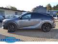 Lexus DIRECT4 F SPORT+ Gris - thumbnail 9