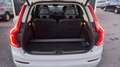 Volvo XC90 D4 Kinetic 7pl. Aut. Blanco - thumbnail 40