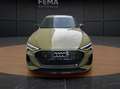 Audi e-tron e-tron quattro MatrixLED HuD B&O VC Panorama Grün - thumbnail 1