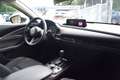 Mazda CX-30 2.5 e-SkyActiv-G M Hybrid Homura Blanc - thumbnail 14