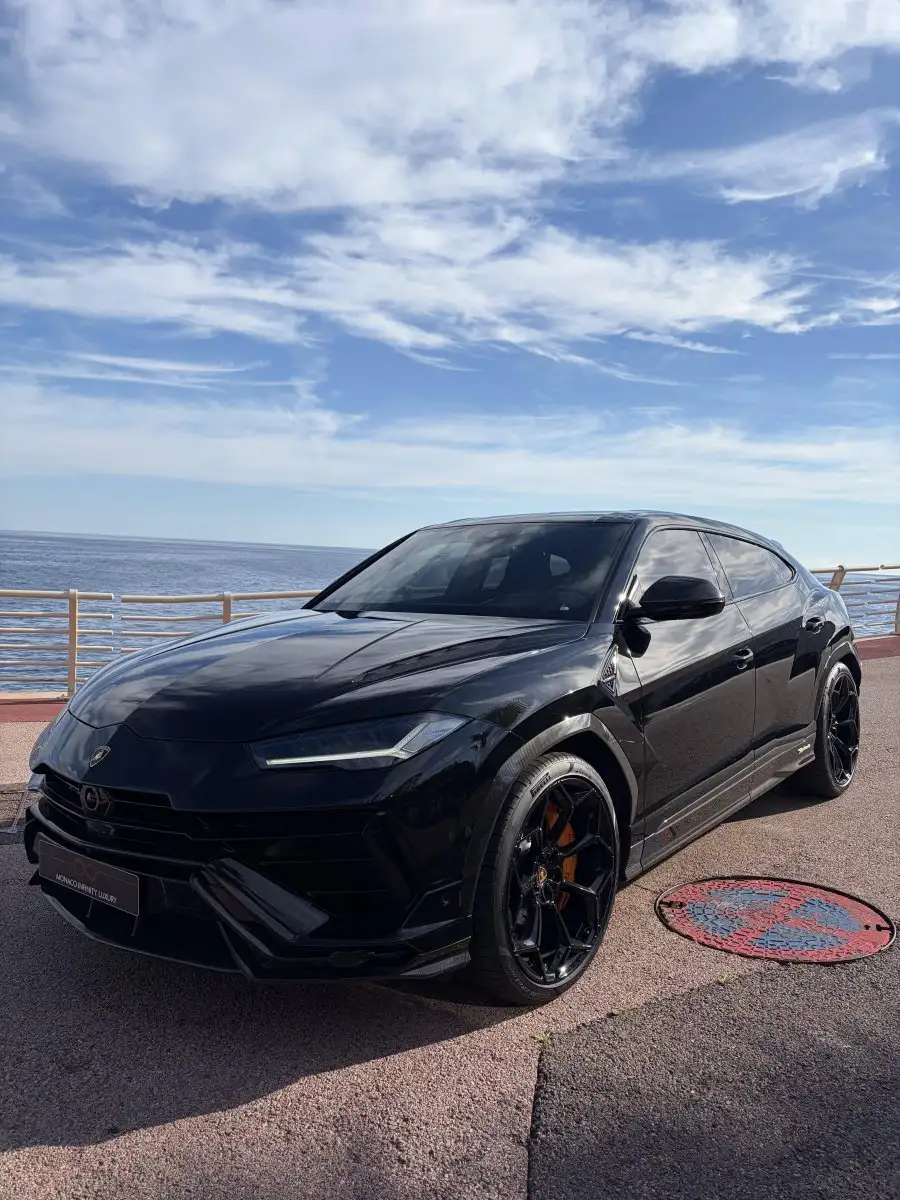 Lamborghini 4.0 V8 666 PERFORMANTE