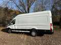 Ford Transit Kasten 350 L4H3 Trend/Kamera/SHZ/ Weiß - thumbnail 6
