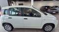 Fiat Panda 1.2 Pop Bianco - thumbnail 2