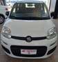 Fiat Panda 1.2 Pop Bianco - thumbnail 1