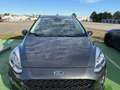 Ford Fiesta Fiesta Active 1,0 EcoBoost Start/Stop Active Grau - thumbnail 3