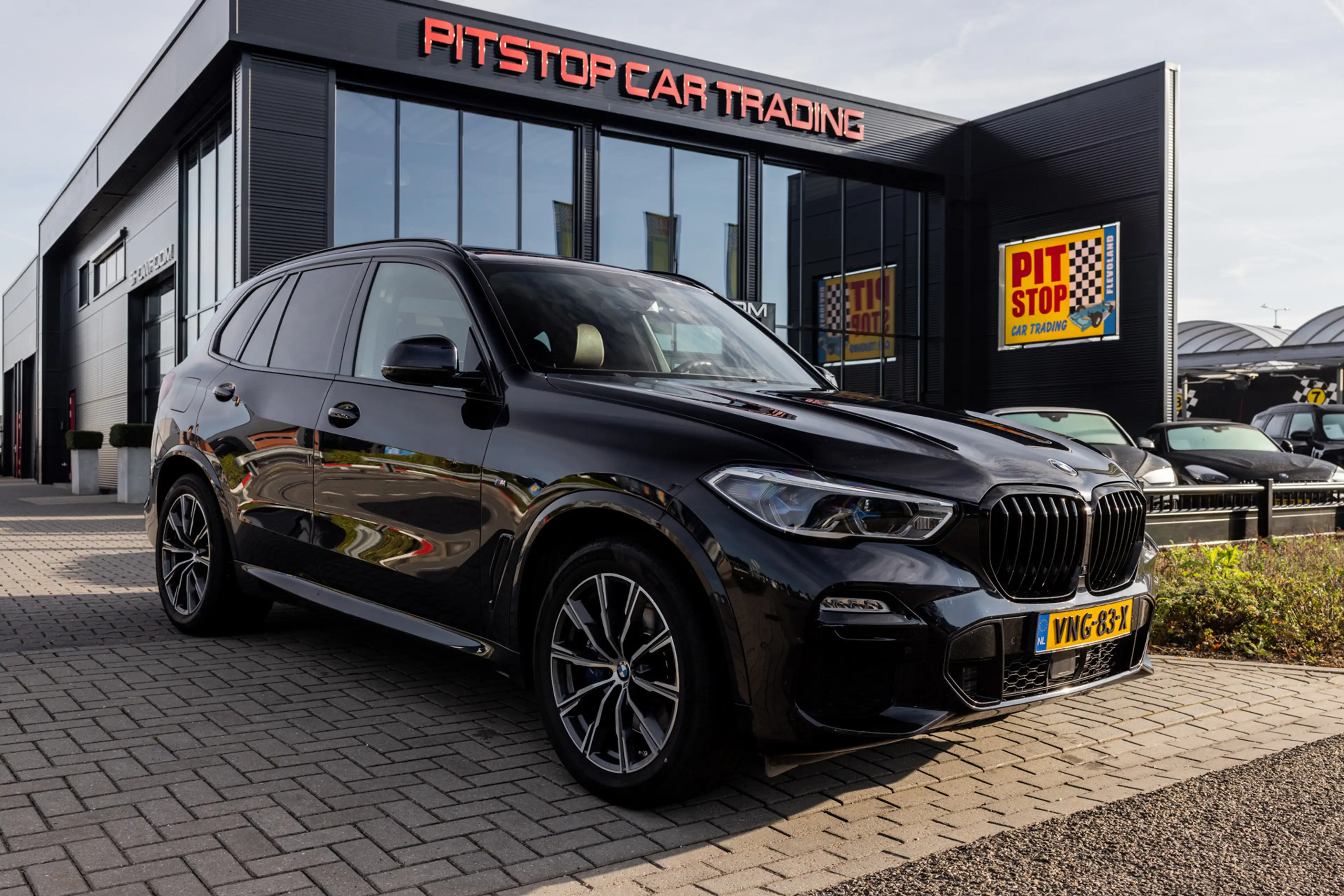 BMW X5 XDrive30d, Pano, Grijs kenteken, Dealer onderhoude