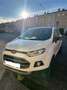 Ford EcoSport EcoSport 1.0 SCTI PACK BLACK - thumbnail 7