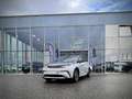 BYD Dolphin Design 204 PS GEWERBE AKTION Alb - thumbnail 1