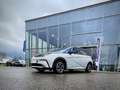BYD Dolphin Design 204 PS GEWERBE AKTION Alb - thumbnail 2