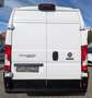Fiat Ducato Maxi Kasten 35 L5H2*1Hd*Temp*TÜV*RKam*3Si Weiß - thumbnail 6