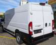 Fiat Ducato Maxi Kasten 35 L5H2*1Hd*Temp*TÜV*RKam*3Si Weiß - thumbnail 7