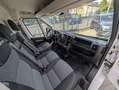 Fiat Ducato Maxi Kasten 35 L5H2*1Hd*Temp*TÜV*RKam*3Si Weiß - thumbnail 19