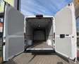 Fiat Ducato Maxi Kasten 35 L5H2*1Hd*Temp*TÜV*RKam*3Si Weiß - thumbnail 9