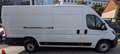 Fiat Ducato Maxi Kasten 35 L5H2*1Hd*Temp*TÜV*RKam*3Si Weiß - thumbnail 1