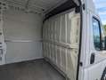 Fiat Ducato Maxi Kasten 35 L5H2*1Hd*Temp*TÜV*RKam*3Si Weiß - thumbnail 17