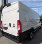 Fiat Ducato Maxi Kasten 35 L5H2*1Hd*Temp*TÜV*RKam*3Si Weiß - thumbnail 5