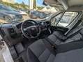 Fiat Ducato Maxi Kasten 35 L5H2*1Hd*Temp*TÜV*RKam*3Si Weiß - thumbnail 23