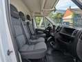 Fiat Ducato Maxi Kasten 35 L5H2*1Hd*Temp*TÜV*RKam*3Si Weiß - thumbnail 18