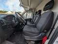 Fiat Ducato Maxi Kasten 35 L5H2*1Hd*Temp*TÜV*RKam*3Si Weiß - thumbnail 13