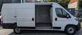 Fiat Ducato Maxi Kasten 35 L5H2*1Hd*Temp*TÜV*RKam*3Si Weiß - thumbnail 10