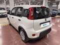Fiat Panda 1.0 FireFly 70cv S&S Hybrid Blanc - thumbnail 3