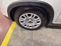 Fiat Panda 1.0 FireFly 70cv S&S Hybrid Blanc - thumbnail 20