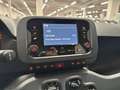 Fiat Panda 1.0 FireFly 70cv S&S Hybrid Blanc - thumbnail 13
