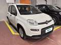 Fiat Panda 1.0 FireFly 70cv S&S Hybrid Blanc - thumbnail 5