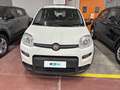 Fiat Panda 1.0 FireFly 70cv S&S Hybrid Blanc - thumbnail 6