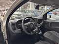 Fiat Panda 1.0 FireFly 70cv S&S Hybrid Blanc - thumbnail 18