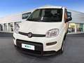 Fiat Panda 1.0 FireFly 70cv S&S Hybrid Blanc - thumbnail 1