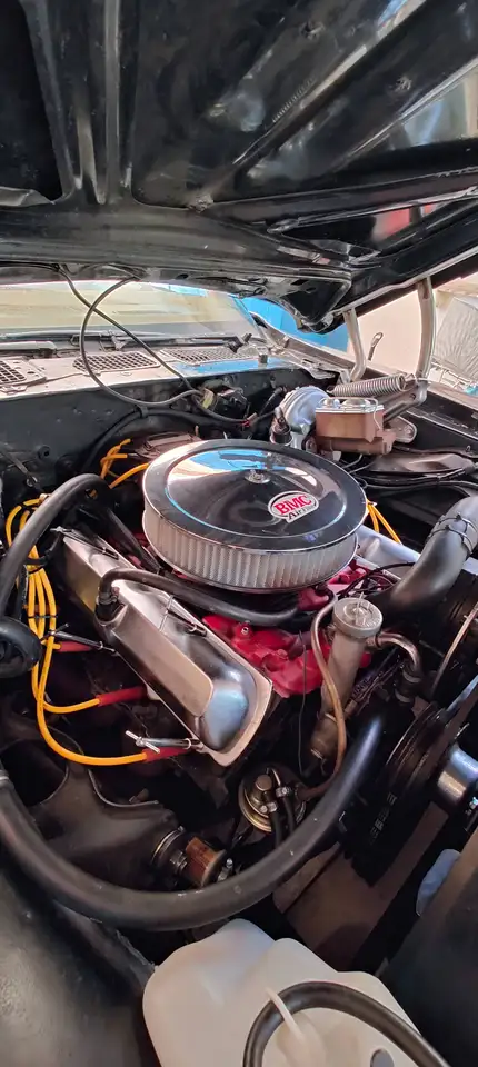 Pontiac Firebird 6.6 V8 Formula, foto 5