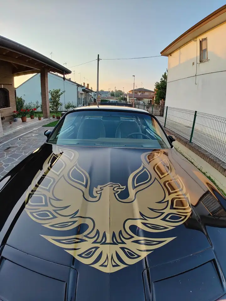 Pontiac Firebird 6.6 V8 Formula, foto 2