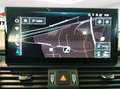 Audi SQ5 3.0 TDI Matrix LED Kamera AHK ACC Panorama Noir - thumbnail 18