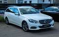 Mercedes-Benz E 220 T CDI BlueTec Avantgarde|AHK|LED|DESIGNO| Weiß - thumbnail 5