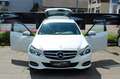 Mercedes-Benz E 220 T CDI BlueTec Avantgarde|AHK|LED|DESIGNO| Weiß - thumbnail 11