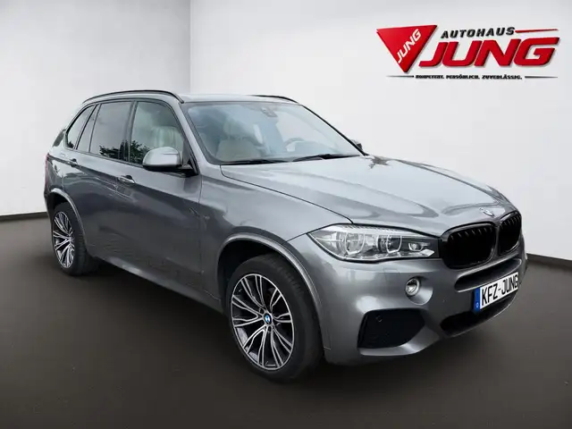 BMW X5 view 8
