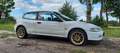 Honda Civic Civic New York Weiß - thumbnail 6