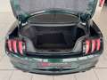 Ford Mustang Bullitt 5.0 V8 *MagneRide*B&O* Grün - thumbnail 18