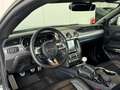 Ford Mustang Bullitt 5.0 V8 *MagneRide*B&O* Grün - thumbnail 12
