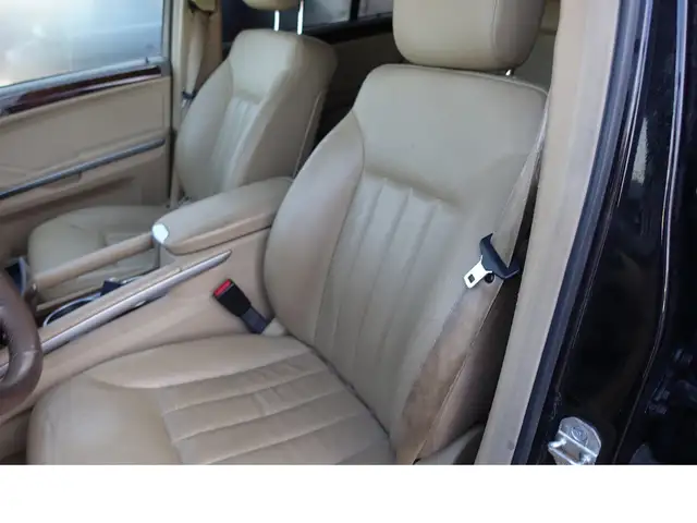 Mercedes-Benz M Class view 8