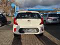 Kia Picanto Edition 7 Alb - thumbnail 6