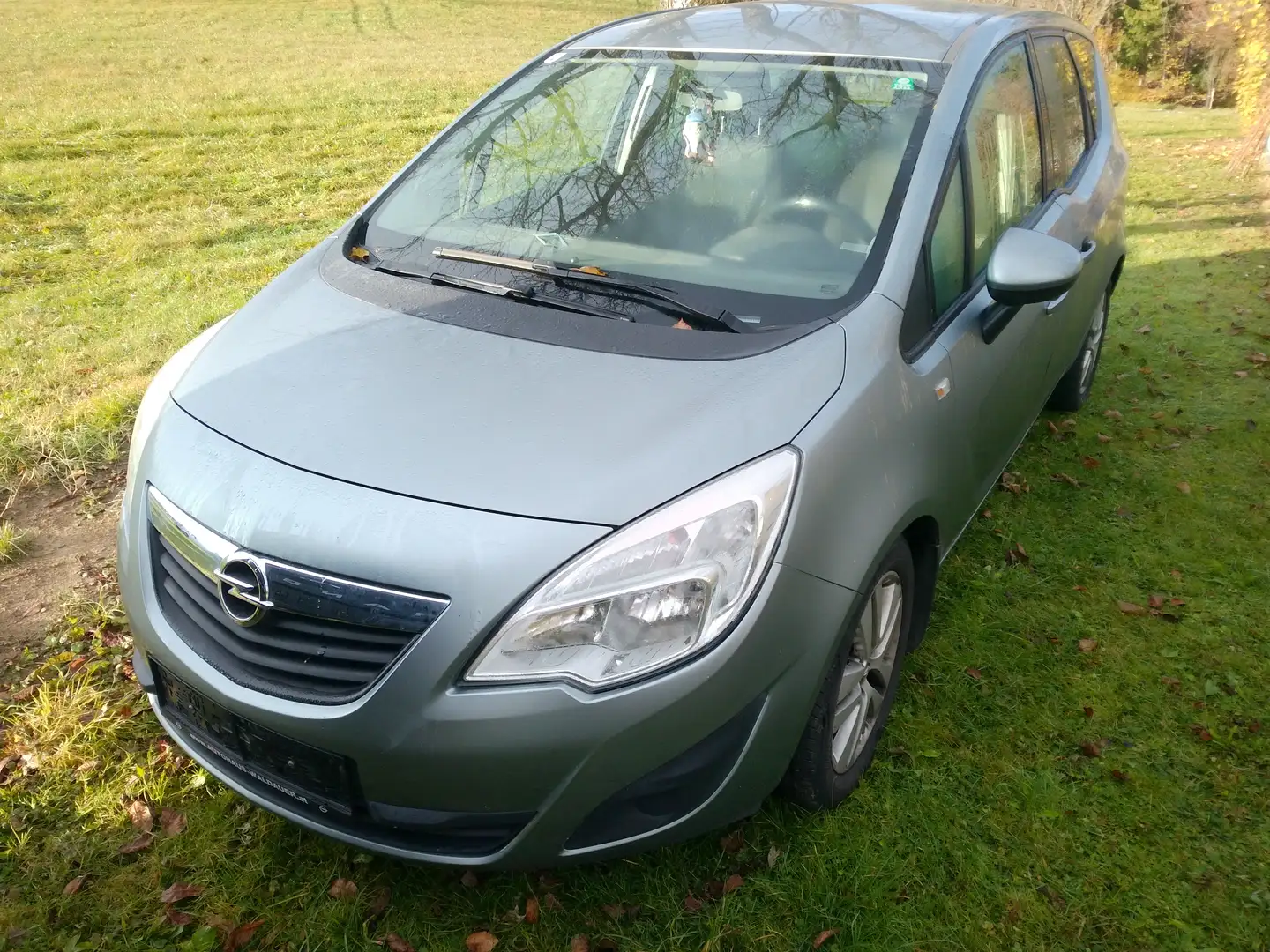 Opel Meriva Meriva 1,4 ecoFlex Turbo Color Color Silber - 2