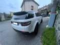 Land Rover Discovery Sport Discovery Sport 2.2 sd4 HSE Luxury awd 190cv auto Bianco - thumbnail 2