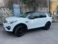 Land Rover Discovery Sport Discovery Sport 2.2 sd4 HSE Luxury awd 190cv auto Weiß - thumbnail 5