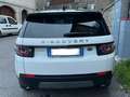 Land Rover Discovery Sport Discovery Sport 2.2 sd4 HSE Luxury awd 190cv auto Weiß - thumbnail 4