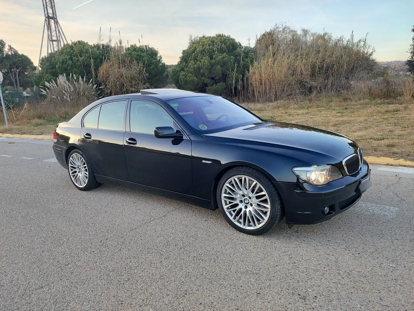 BMW 745 745dA - 1