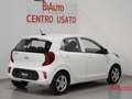 Kia Picanto Picanto 1.0 12V 5 porte Urban Bianco - thumbnail 2