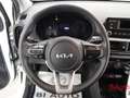 Kia Picanto Picanto 1.0 12V 5 porte Urban Bianco - thumbnail 10